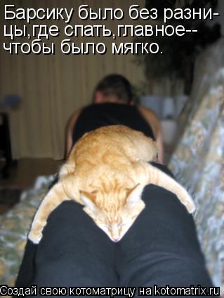 Барсику было без разни- цы,где спать,главное-- чтобы было мягко.... Котоматрица: Барсику было без разни- цы,где спать,главное-- чтобы было мягко.
