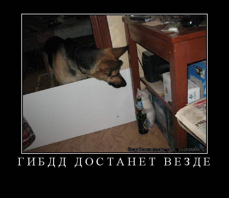 гибдд достанет везде ... Котоматрица: гибдд достанет везде