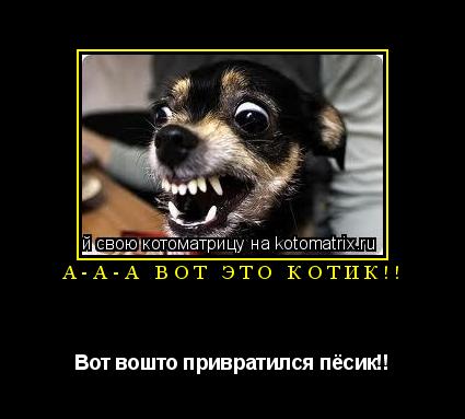 а-а-а вот это котик!! Вот вошто привратился пёсик!!... Котоматрица: а-а-а вот это котик!! Вот вошто привратился пёсик!!