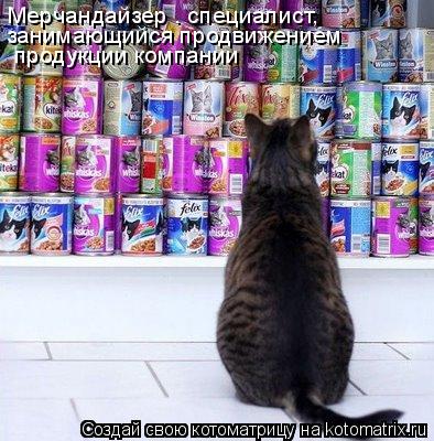 Мерчандайзер — специалист, занимающийся продвижением продукции компании... Котоматрица: Мерчандайзер — специалист, занимающийся продвижением продукции компании