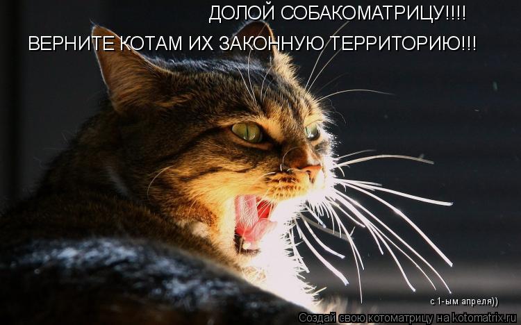 ДОЛОЙ СОБАКОМАТРИЦУ!!!! ВЕРНИТЕ КОТАМ ИХ ЗАКОННУЮ ТЕРРИТОРИЮ!!! с 1-ым апреля))... Котоматрица: ДОЛОЙ СОБАКОМАТРИЦУ!!!! ВЕРНИТЕ КОТАМ ИХ ЗАКОННУЮ ТЕРРИТОРИЮ!!! с 1-ым апреля))