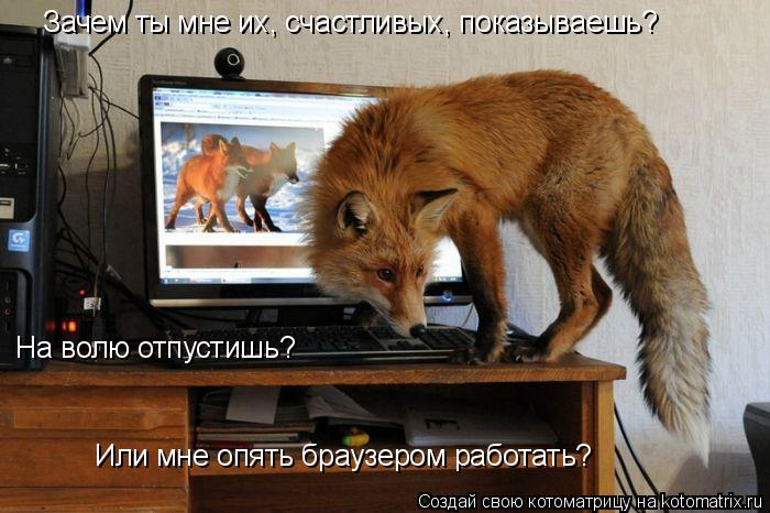 Зачем ты мне их, счастливых, показываешь? На волю отпустишь? Или мне опять браузером работать?... Котоматрица: Зачем ты мне их, счастливых, показываешь? На волю отпустишь? Или мне опять браузером работать?