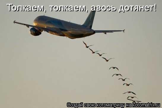 Толкаем, толкаем, авось дотянет!... Котоматрица: Толкаем, толкаем, авось дотянет!