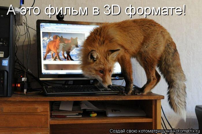 А это фильм в 3D формате!... Котоматрица: А это фильм в 3D формате!