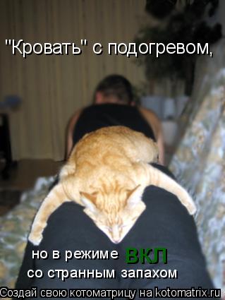 "Кровать" с подогревом, но в режиме вкл со странным запахом... Котоматрица: "Кровать" с подогревом, но в режиме вкл со странным запахом