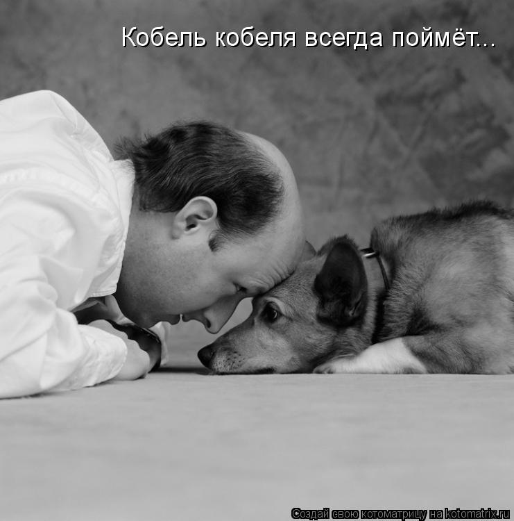 Кобель кобеля всегда поймёт...... Котоматрица: Кобель кобеля всегда поймёт...