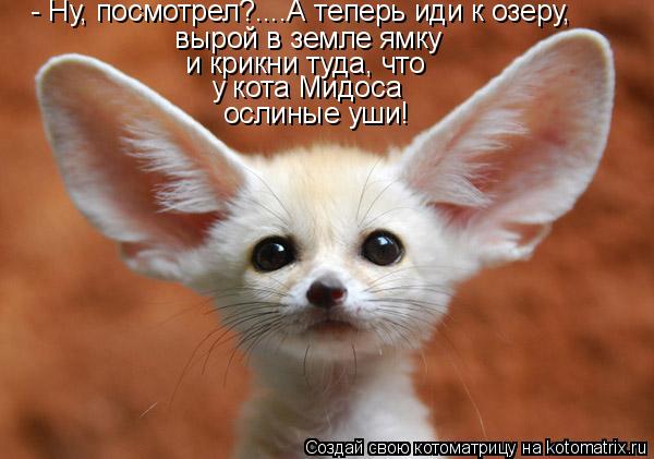 - Ну, посмотрел?....А теперь иди к озеру, вырой в земле ямку и крикни туда, что у кота Мидоса ослиные... Котоматрица: - Ну, посмотрел?....А теперь иди к озеру, вырой в земле ямку и крикни туда, что у кота Мидоса ослиные уши!