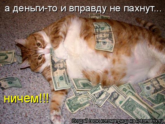 а деньги-то и вправду не пахнут... ничем!!!... Котоматрица: а деньги-то и вправду не пахнут... ничем!!!
