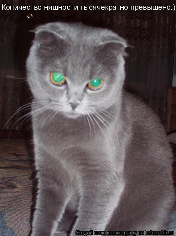 Количество няшности тысячекратно превышено:)... Котоматрица: Количество няшности тысячекратно превышено:)