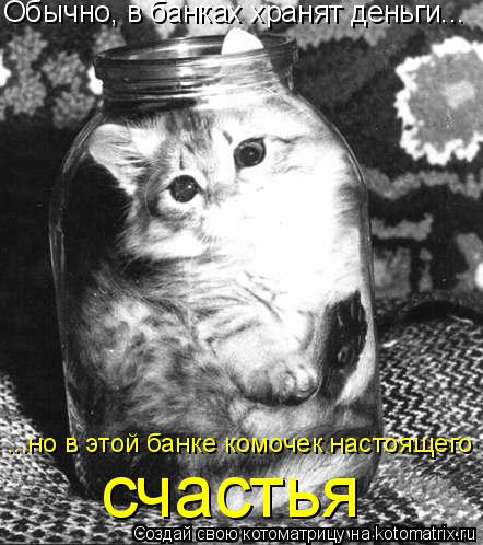 Обычно, в банках хранят деньги... ...но в этой банке комочек настоящего счастья... Котоматрица: Обычно, в банках хранят деньги... ...но в этой банке комочек настоящего счастья