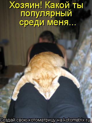 популярный среди меня... Хозяин! Какой ты... Котоматрица: популярный среди меня... Хозяин! Какой ты