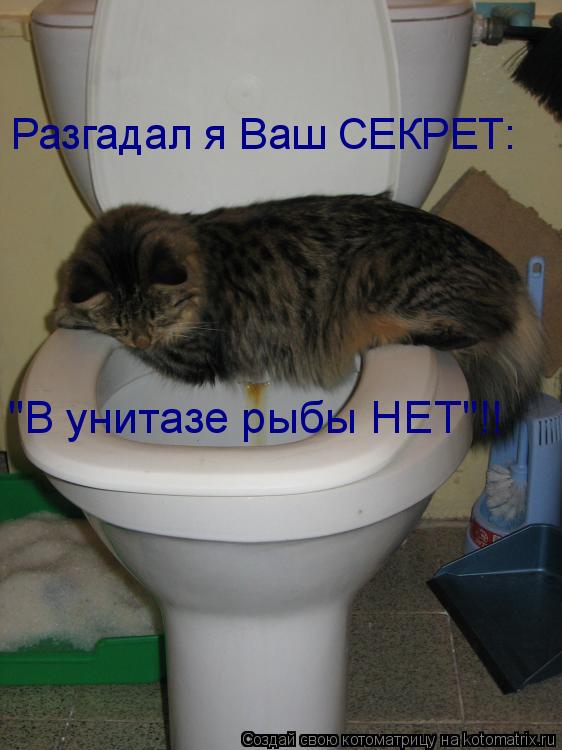Разгадал я Ваш СЕКРЕТ: "В унитазе рыбы НЕТ"!!... Котоматрица: Разгадал я Ваш СЕКРЕТ: "В унитазе рыбы НЕТ"!!