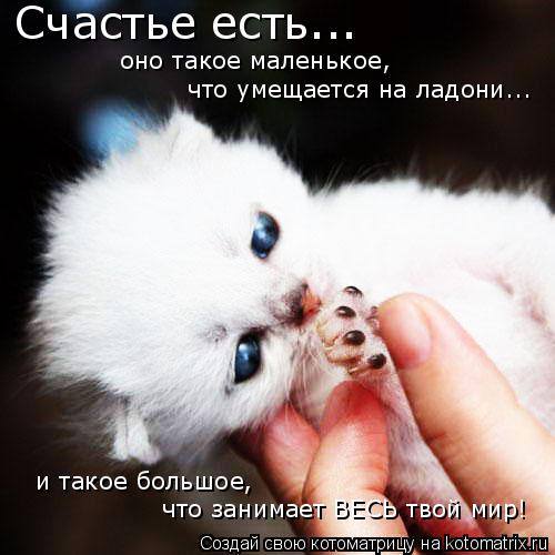 что умещается на ладони... оно такое маленькое, Счастье есть... и такое большое, что занимает ВЕСЬ т... Котоматрица: что умещается на ладони... оно такое маленькое, Счастье есть... и такое большое, что занимает ВЕСЬ твой мир!