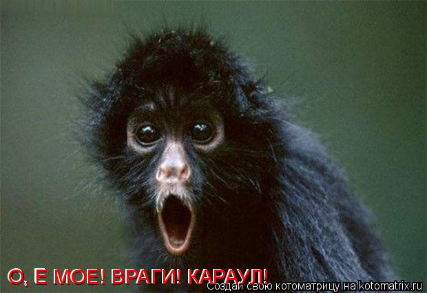 О, Е О, Е МОЕ! ВРАГИ! КАРАУЛ! О, Е МОЕ! ВРАГИ! КАРАУЛ!... Котоматрица: О, Е О, Е МОЕ! ВРАГИ! КАРАУЛ! О, Е МОЕ! ВРАГИ! КАРАУЛ!
