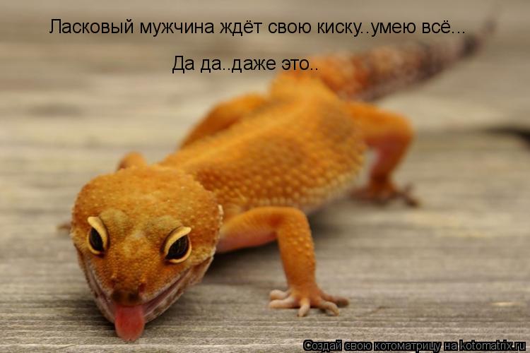 Ласковый мужчина ждёт свою киску..умею всё... Да да..даже это..... Котоматрица: Ласковый мужчина ждёт свою киску..умею всё... Да да..даже это..