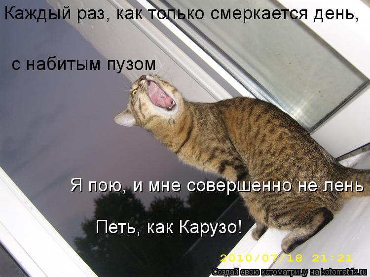 Каждый раз, как только смеркается день, с набитым пузом Я пою, и мне совершенно не лень Петь, как К... Котоматрица: Каждый раз, как только смеркается день, с набитым пузом Я пою, и мне совершенно не лень Петь, как Карузо!