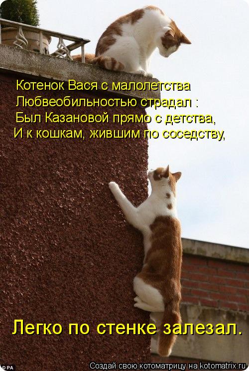 Котенок Вася с малолетства Любвеобильностью страдал : Был Казановой прямо с детства, И к кошкам, жи... Котоматрица: Котенок Вася с малолетства Любвеобильностью страдал : Был Казановой прямо с детства, И к кошкам, жившим по соседству, Легко по стенке зале
