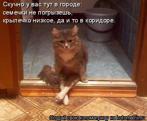 Скучно у вас тут в городе: семечки не погрызешь, крылечко низкое, да и то в коридоре.... Котоматрица: Скучно у вас тут в городе: семечки не погрызешь, крылечко низкое, да и то в коридоре.