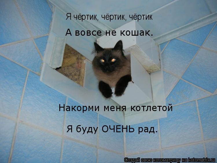 Я чёртик, чёртик, чёртик Я чёртик, чёртик, чёртик А вовсе не кошак. Накорми меня котлетой Я буду ОЧ... Котоматрица: Я чёртик, чёртик, чёртик Я чёртик, чёртик, чёртик А вовсе не кошак. Накорми меня котлетой Я буду ОЧЕНЬ рад.