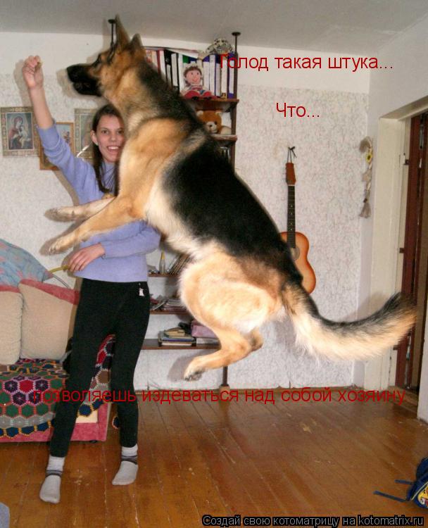 Голод такая штука... Что... ...позволяешь издеваться над собой хозяину.... Котоматрица: Голод такая штука... Что... ...позволяешь издеваться над собой хозяину.