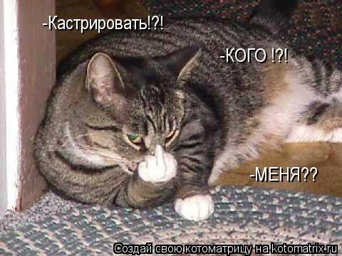 -Кастрировать!?! -КОГО !?! -МЕНЯ??... Котоматрица: -Кастрировать!?! -КОГО !?! -МЕНЯ??