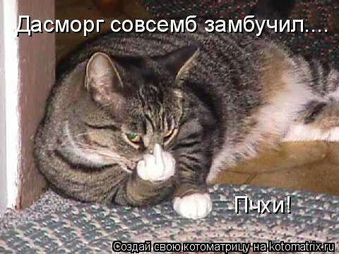 Дасморг совсемб замбучил.... Пчхи!... Котоматрица: Дасморг совсемб замбучил.... Пчхи!