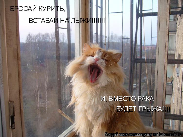 БРОСАЙ КУРИТЬ, ВСТАВАЙ НА ЛЫЖИ!!!!!!!! И, ВМЕСТО РАКА БУДЕТ ГРЫЖА!!!!... Котоматрица: БРОСАЙ КУРИТЬ, ВСТАВАЙ НА ЛЫЖИ!!!!!!!! И, ВМЕСТО РАКА БУДЕТ ГРЫЖА!!!!