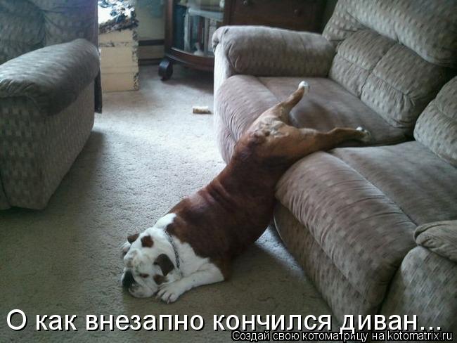 О как внезапно кончился диван...... Котоматрица: О как внезапно кончился диван...