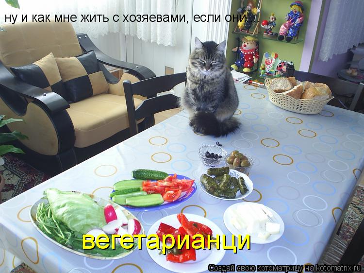 ну и как мне жить с хозяевами, если они.... вегетарианци... Котоматрица: ну и как мне жить с хозяевами, если они.... вегетарианци