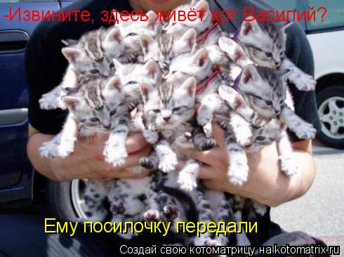 -Извините, здесь живёт кот Василий? Ему посилочку передали... Котоматрица: -Извините, здесь живёт кот Василий? Ему посилочку передали