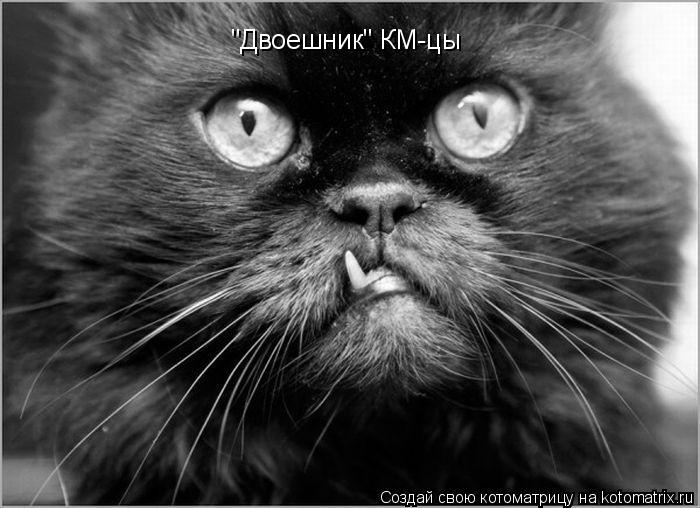"Двоешник" КМ-цы... Котоматрица: "Двоешник" КМ-цы