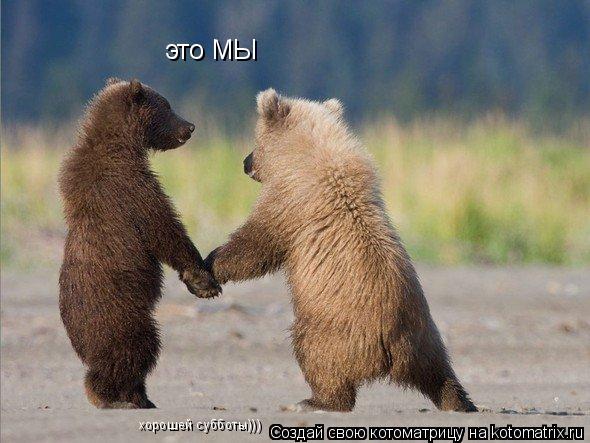 это МЫ хорошей субботы)))... Котоматрица: это МЫ хорошей субботы)))