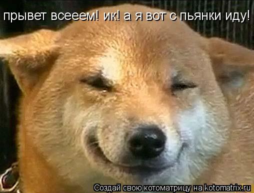 прывет всееем! ик! а я вот с пьянки иду!... Котоматрица: прывет всееем! ик! а я вот с пьянки иду!