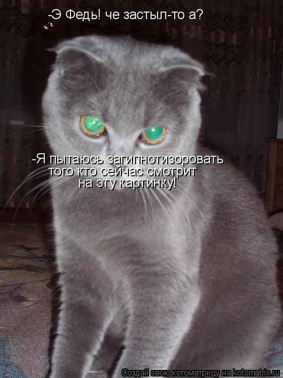 -Э Федь! че застыл-то а? -Я пытаюсь загипнотизоровать того кто сейчас смотрит на эту картинку!... Котоматрица: -Э Федь! че застыл-то а? -Я пытаюсь загипнотизоровать того кто сейчас смотрит на эту картинку!