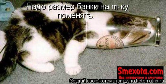 Надо размер банки на m-ку поменять.... Котоматрица: Надо размер банки на m-ку поменять.