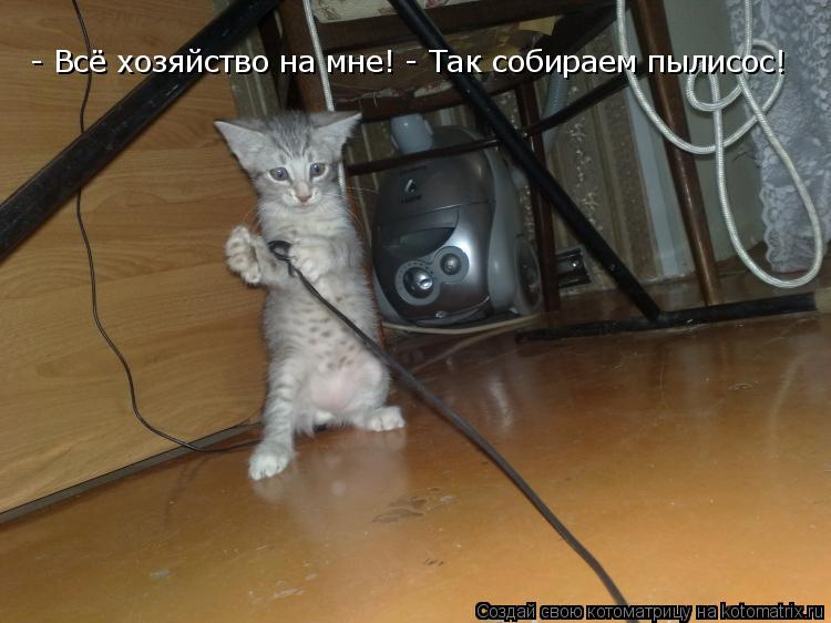 - Всё хозяйство на мне! - Так собираем пылисос!... Котоматрица: - Всё хозяйство на мне! - Так собираем пылисос!
