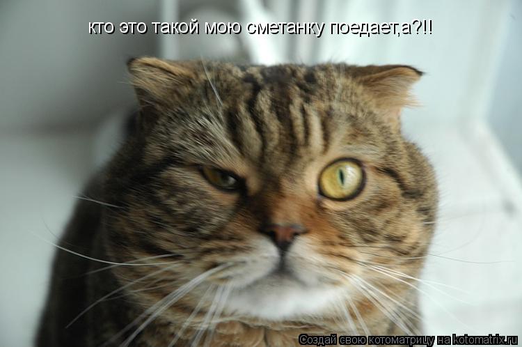 кто это такой мою сметанку поедает,а?!!... Котоматрица: кто это такой мою сметанку поедает,а?!!