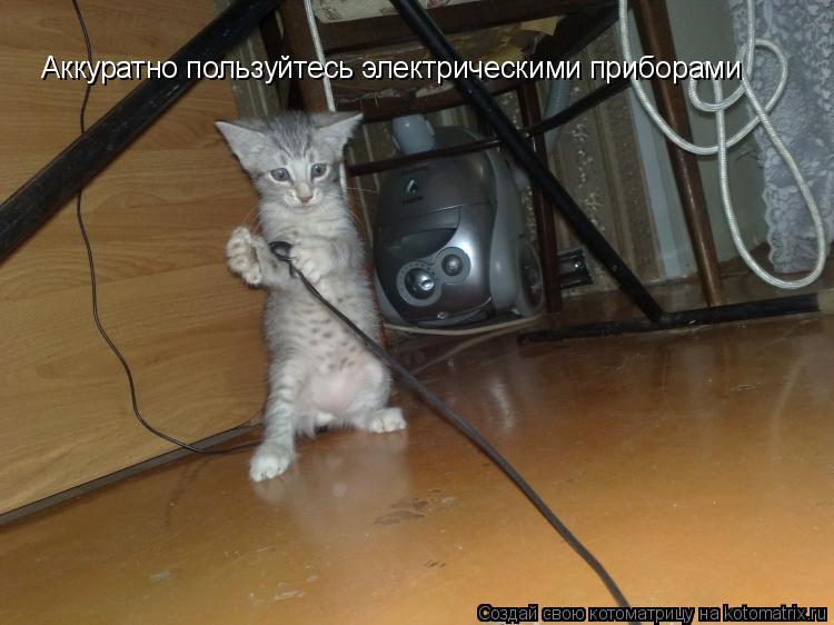 Аккуратно пользуйтесь электрическими приборами... Котоматрица: Аккуратно пользуйтесь электрическими приборами