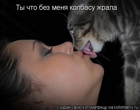 Ты что без меня колбасу жрала... Котоматрица: Ты что без меня колбасу жрала