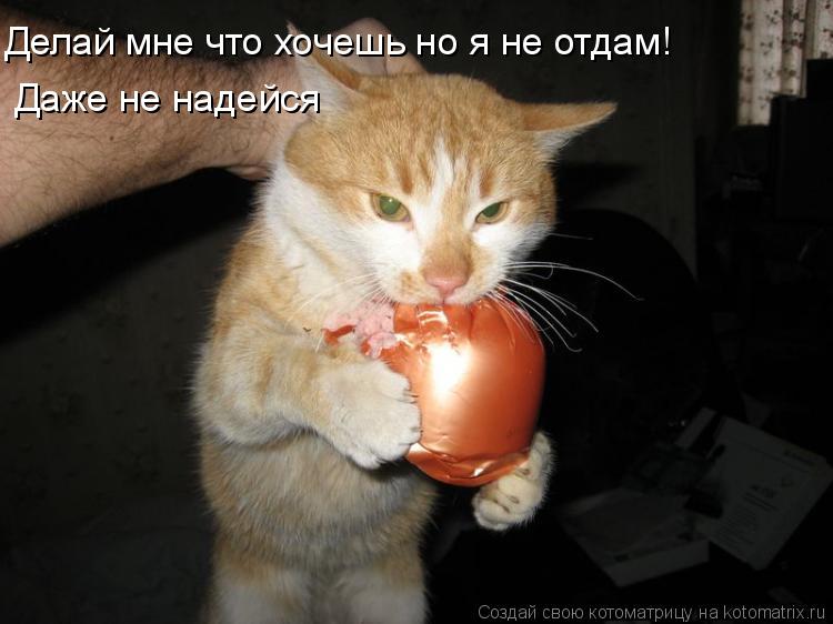 Делай мне что хочешь но я не отдам! Делай мне что хочешь но я не отдам! Даже не надейся... Котоматрица: Делай мне что хочешь но я не отдам! Делай мне что хочешь но я не отдам! Даже не надейся