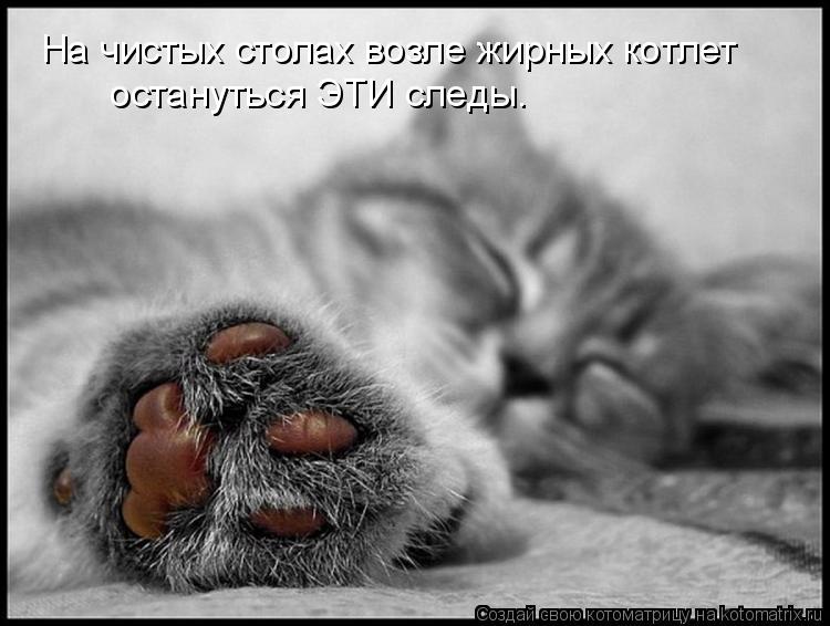 На чистых столах возле жирных котлет остануться ЭТИ следы.... Котоматрица: На чистых столах возле жирных котлет остануться ЭТИ следы.
