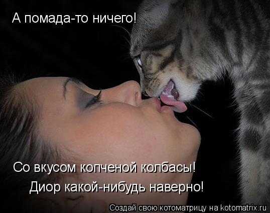 А помада-то ничего! Со вкусом копченой колбасы! Диор какой-нибудь наверно!... Котоматрица: А помада-то ничего! Со вкусом копченой колбасы! Диор какой-нибудь наверно!