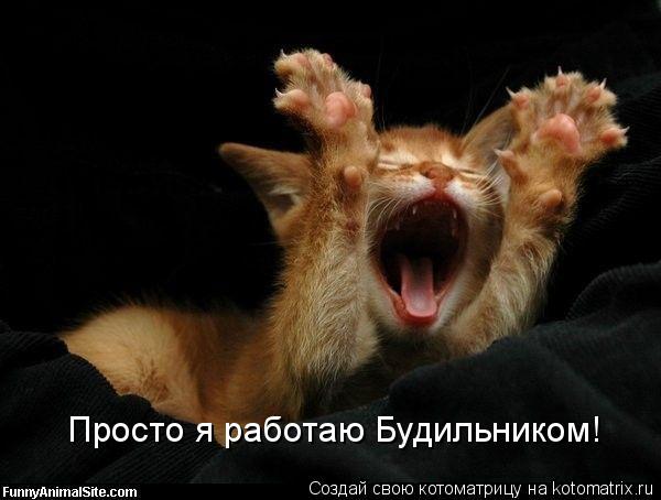 Просто я работаю Будильником!... Котоматрица: Просто я работаю Будильником!