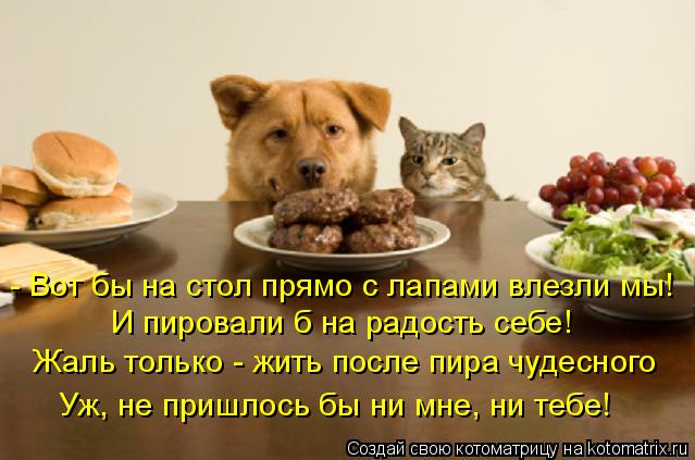 - Вот бы на стол прямо с лапами влезли мы! И пировали б на радость себе! Жаль только - жить после пир... Котоматрица: - Вот бы на стол прямо с лапами влезли мы! И пировали б на радость себе! Жаль только - жить после пира чудесного Уж, не пришлось бы ни мне, ни те