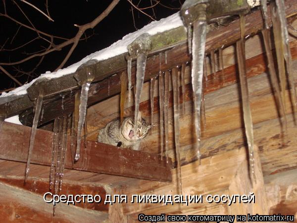 Средство для ликвидации сосулей... Котоматрица: Средство для ликвидации сосулей
