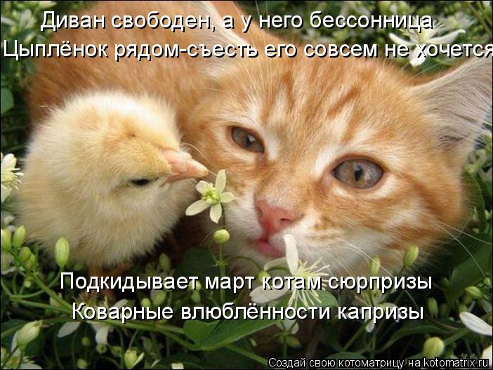Подкидывает март котам сюрпризы Коварные влюблённости капризы Диван свободен, а у него бессонница Цып... Котоматрица: Подкидывает март котам сюрпризы Коварные влюблённости капризы Диван свободен, а у него бессонница Цыплёнок рядом-съесть его совсем не хоч