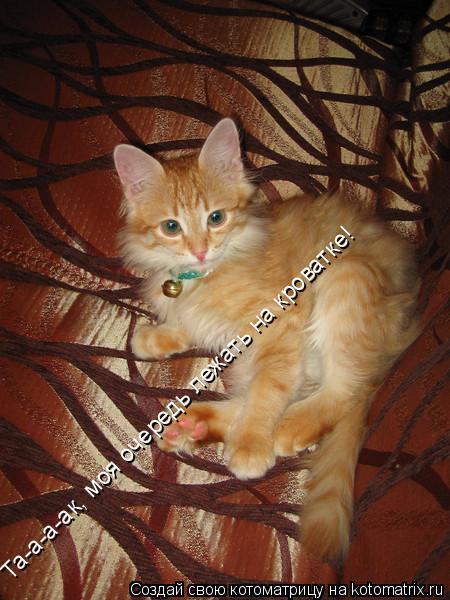 Та-а-а-ак, моя очередь лежать на кроватке!... Котоматрица: Та-а-а-ак, моя очередь лежать на кроватке!