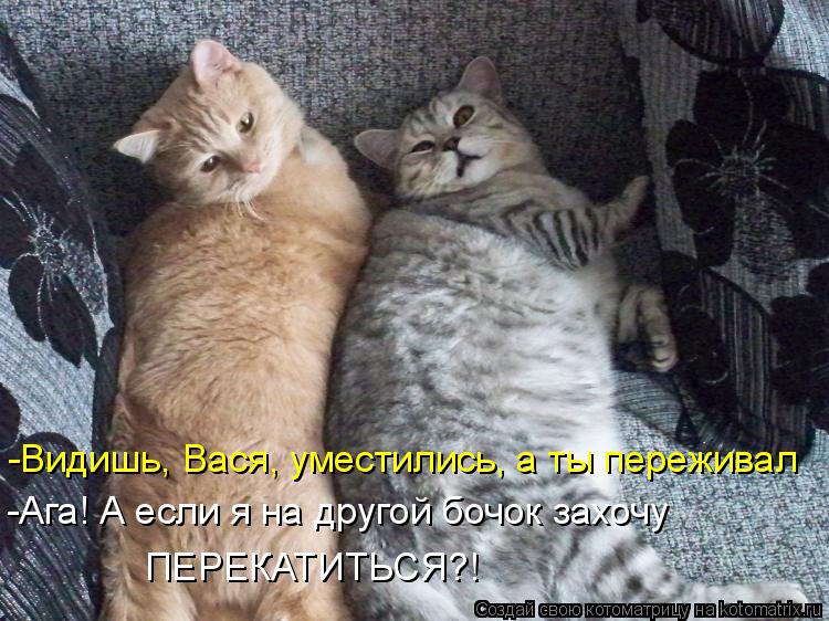 -Ага! А если я на другой бочок захочу ПЕРЕКАТИТЬСЯ?! -Видишь, Вася, уместились, а ты переживал... Котоматрица: -Ага! А если я на другой бочок захочу ПЕРЕКАТИТЬСЯ?! -Видишь, Вася, уместились, а ты переживал