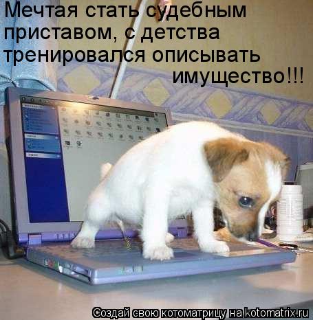Мечтая стать судебным приставом, с детства тренировался описывать имущество!!!... Котоматрица: Мечтая стать судебным приставом, с детства тренировался описывать имущество!!!