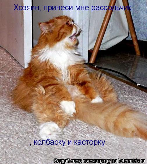 Хозяин, принеси мне рассольчик , колбаску и касторку... Котоматрица: Хозяин, принеси мне рассольчик , колбаску и касторку